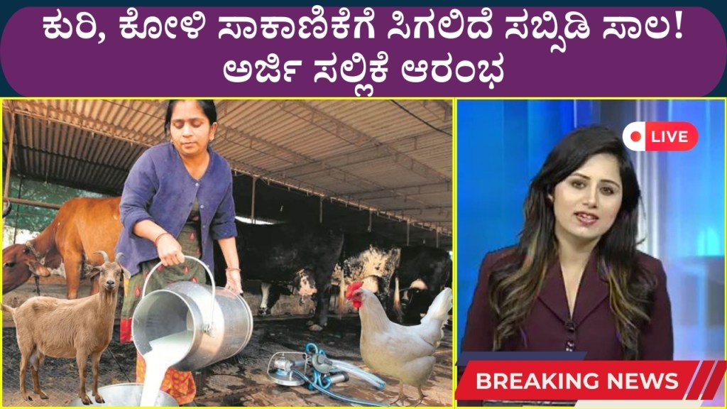 Subsidized loan will be available for sheep and chicken breeding! Start of application submission