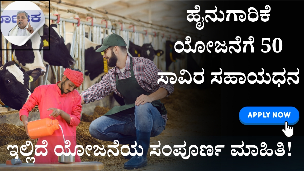50 thousand subsidy for dairy project
