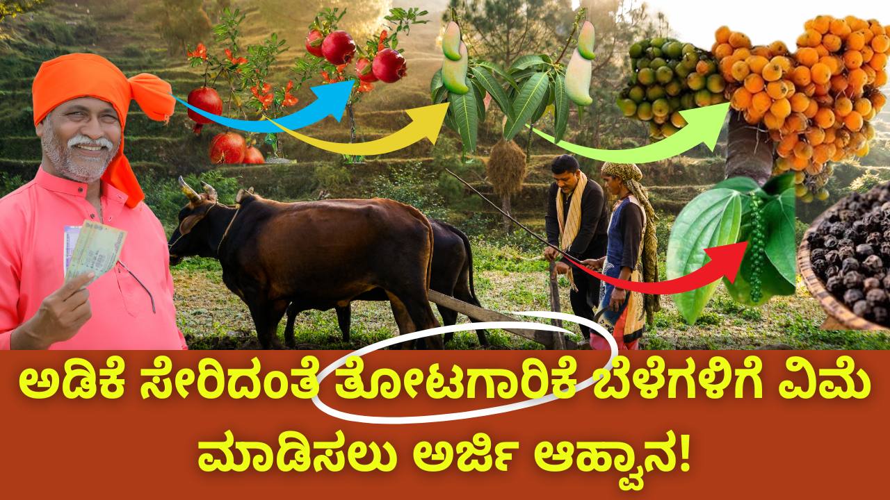 adike bele vime 2025 application last date documents